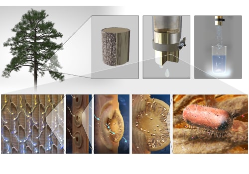Benefits and Limitations of Water Filtration Systems